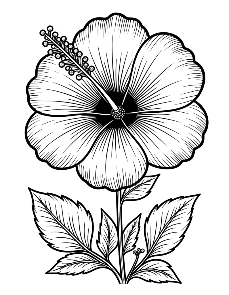 Coloriage hibiscus botanique, en pleine éclosion à imprimer